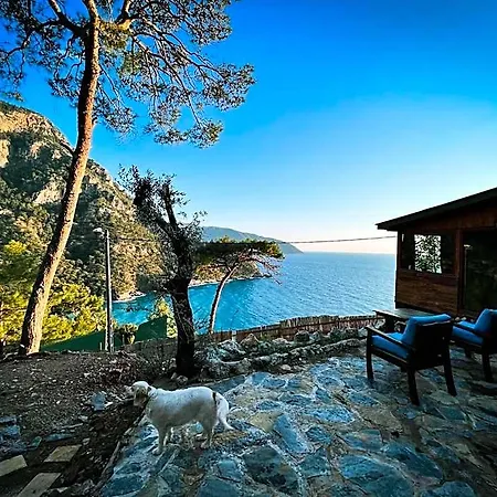 Ξενοδοχείο Kabak Uetopya Kamp *