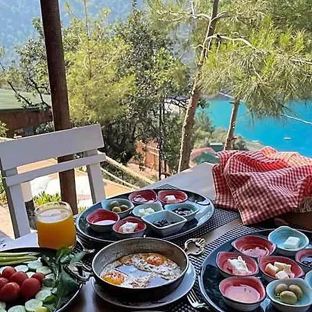 Kabak Uetopya Kamp * Bogazici
